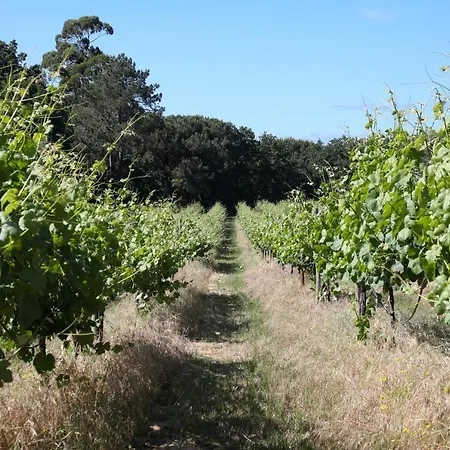 Feriegård Quinta De Chousas - - *