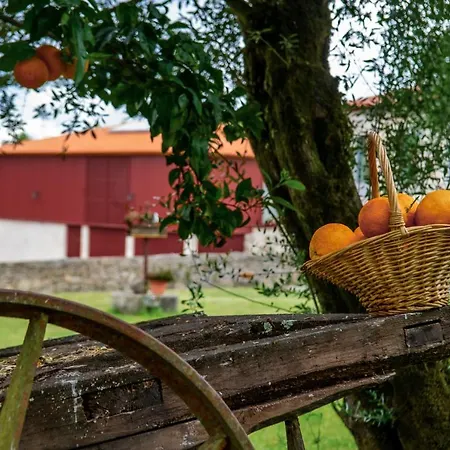 Bauernhof Quinta De Chousas - - Braga